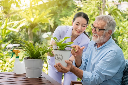 how-gardening-can-boost-your-health